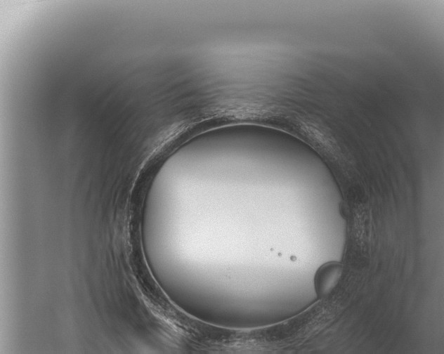 X0000059800730200510281638