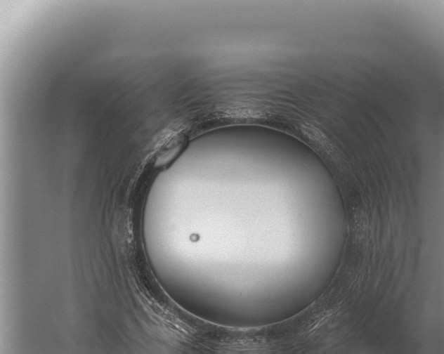 X0000059800731200510281638