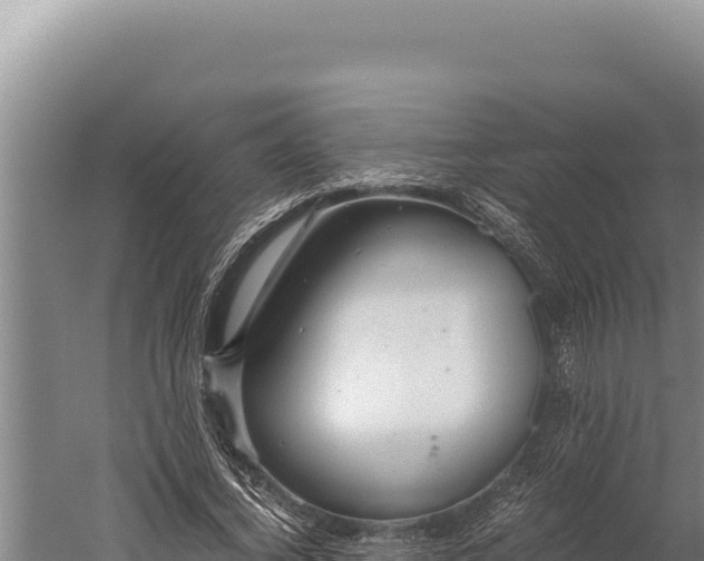 X0000059800732200510281638