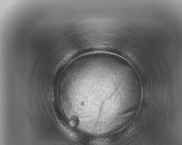 X0000059800734200510281638