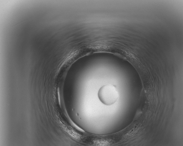 X0000059800735200510281638