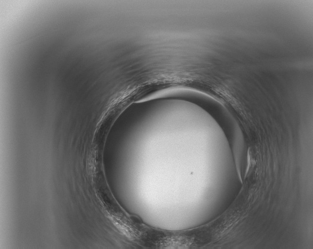 X0000059800736200510281638