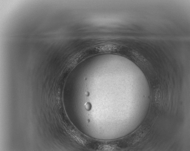 X0000059800737200510281638