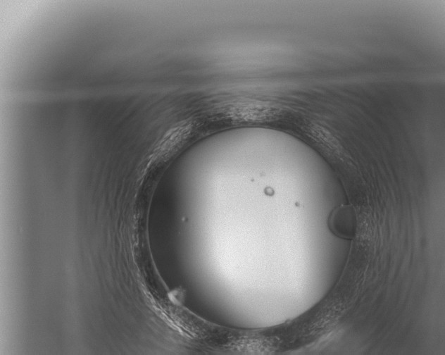 X0000059800738200510281638