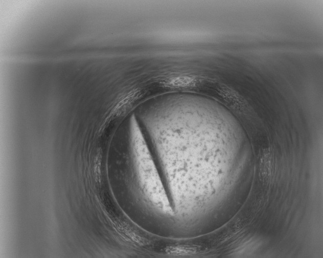 X0000059800739200510281638