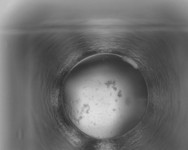 X0000059800742200510281638