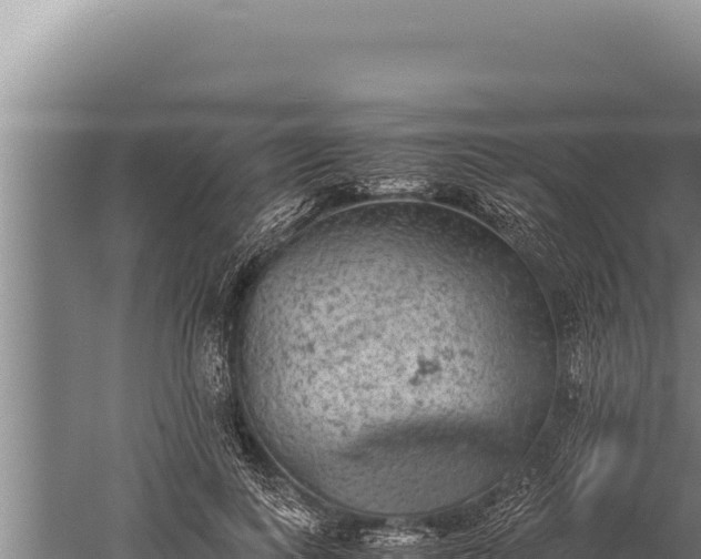 X0000059800743200510281638