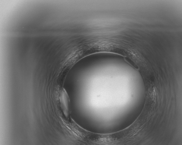 X0000059800744200510281638