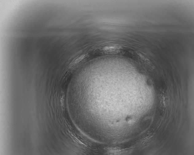 X0000059800745200510281638