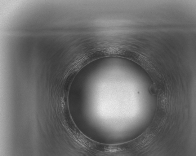 X0000059800746200510281638