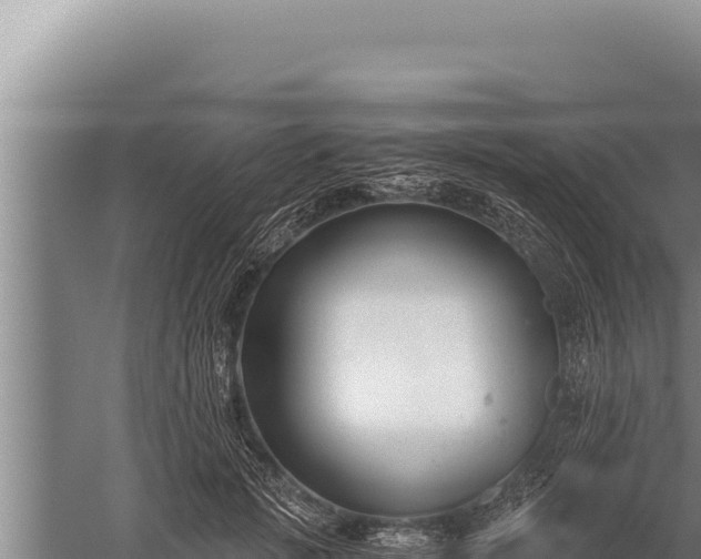 X0000059800749200510281638