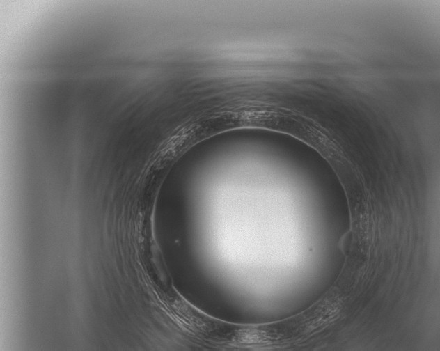 X0000059800750200510281638