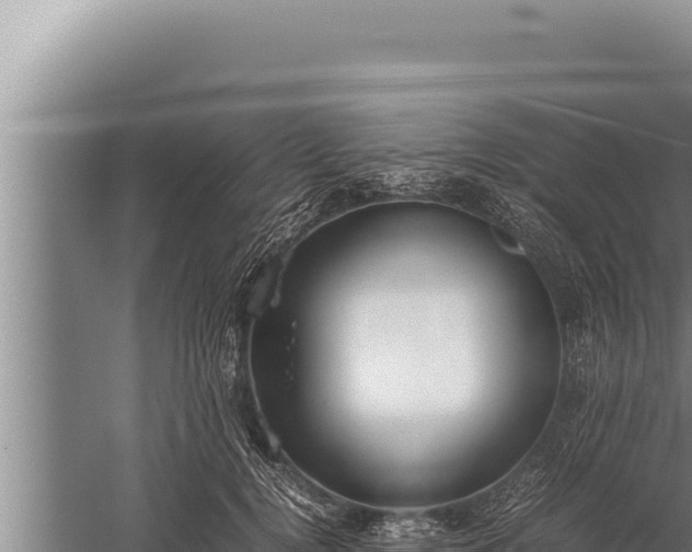 X0000059800752200510281638