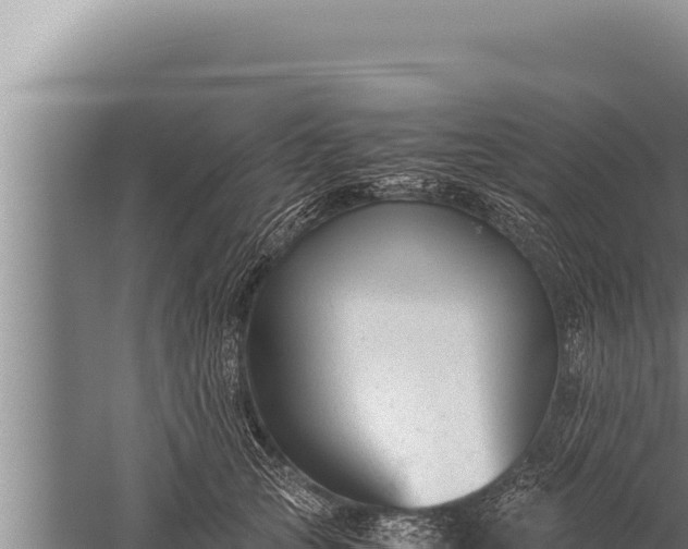 X0000059800753200510281638