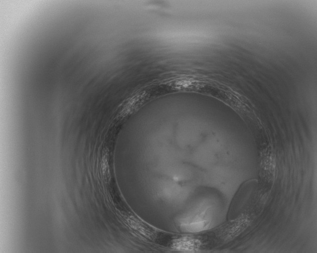 X0000059800754200510281638