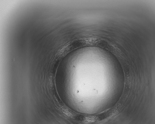 X0000059800757200510281638