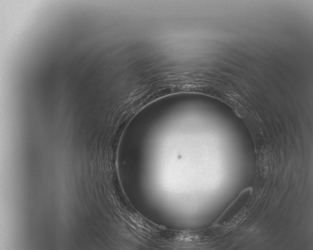 X0000059800760200510281638