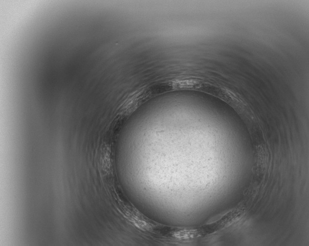 X0000059800761200510281638