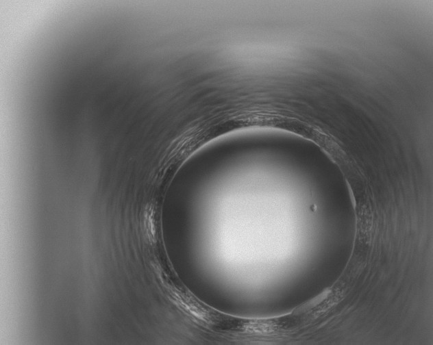 X0000059800762200510281638