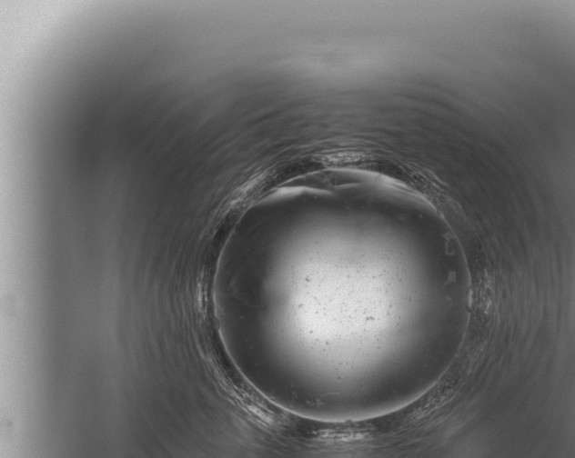 X0000059800763200510281638