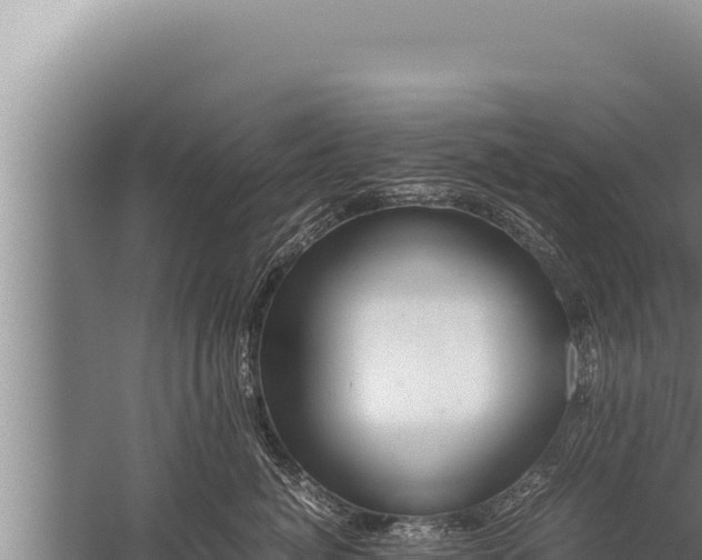 X0000059800764200510281638