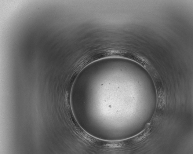 X0000059800765200510281638