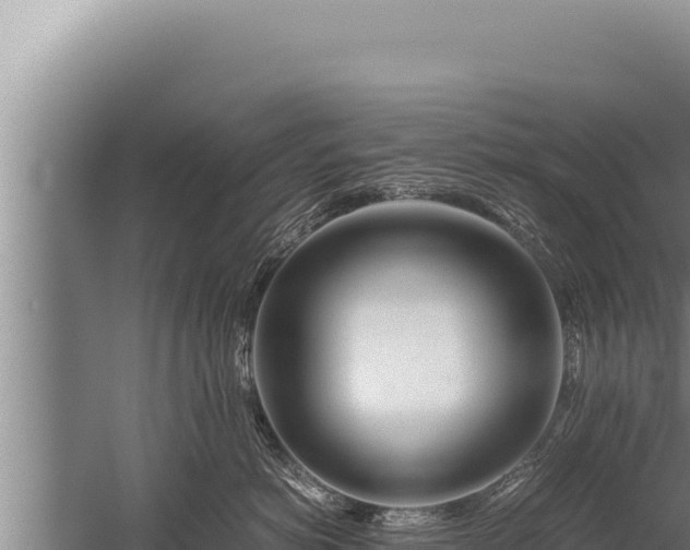 X0000059800766200510281638