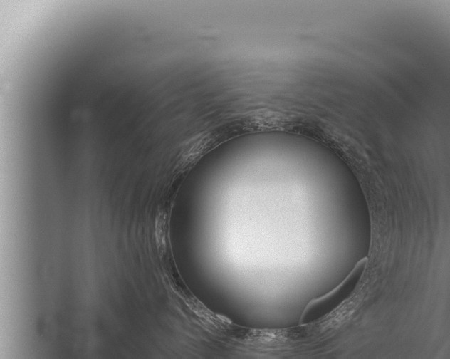 X0000059800768200510281638