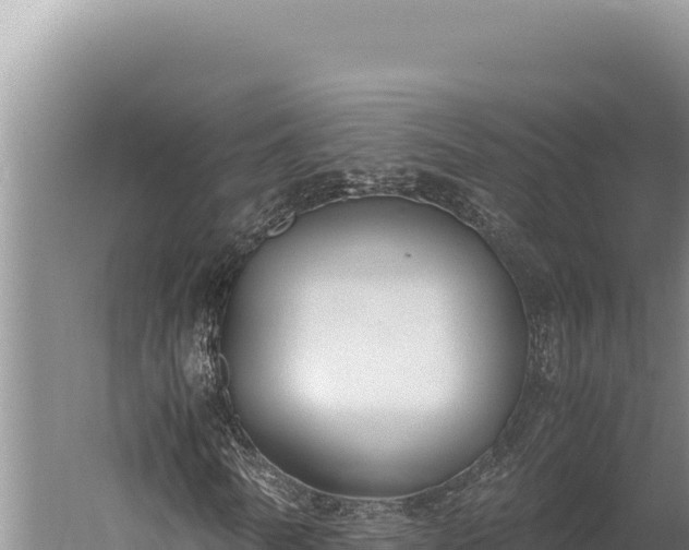 X0000059800770200510281638