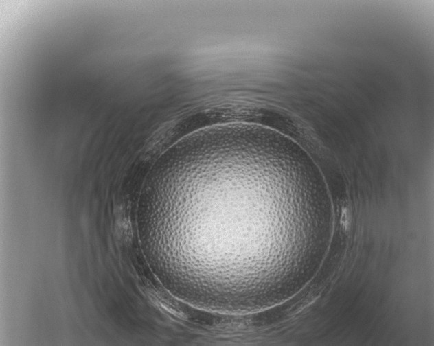 X0000059800771200510281638