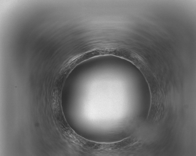 X0000059800773200510281638