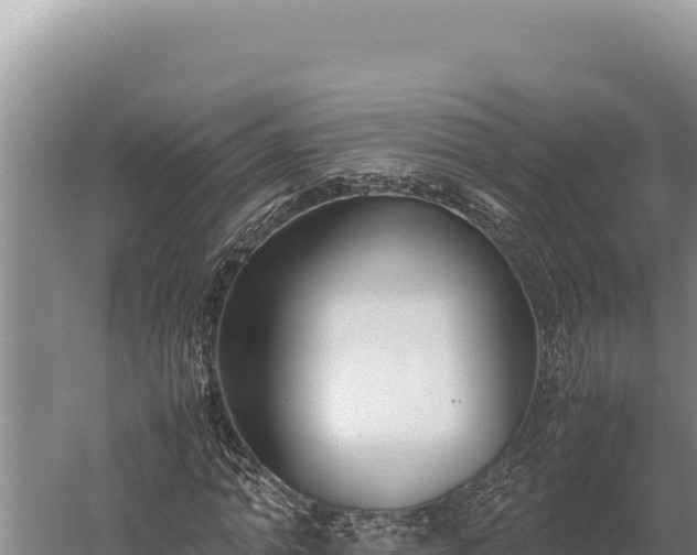 X0000059800774200510281638