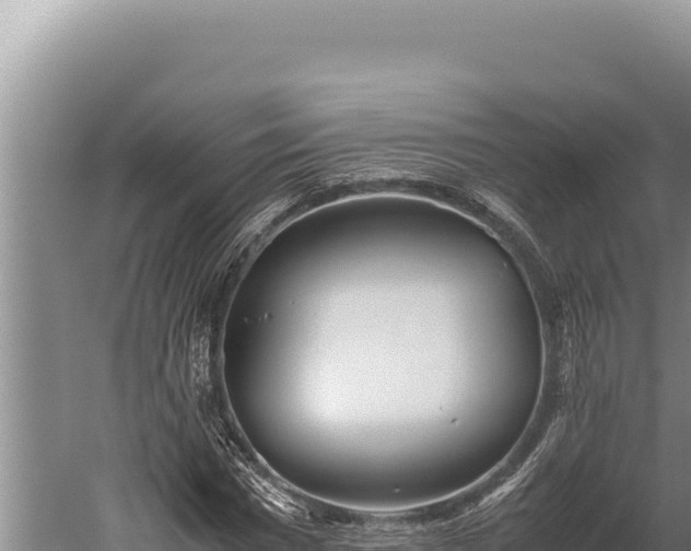 X0000059800777200510281638