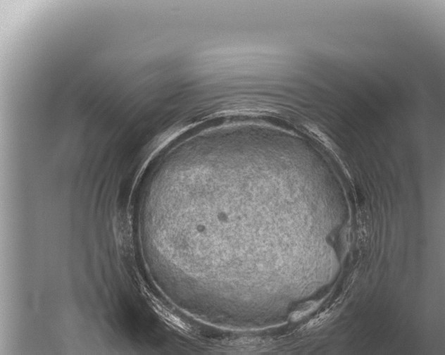 X0000059800779200510281638