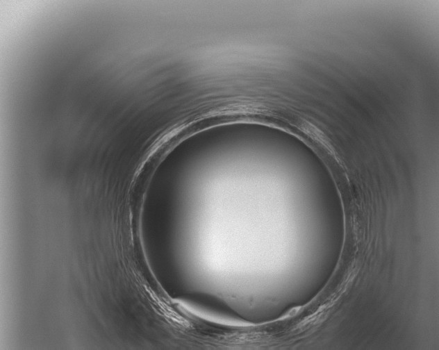 X0000059800781200510281637