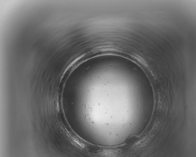 X0000059800782200510281637