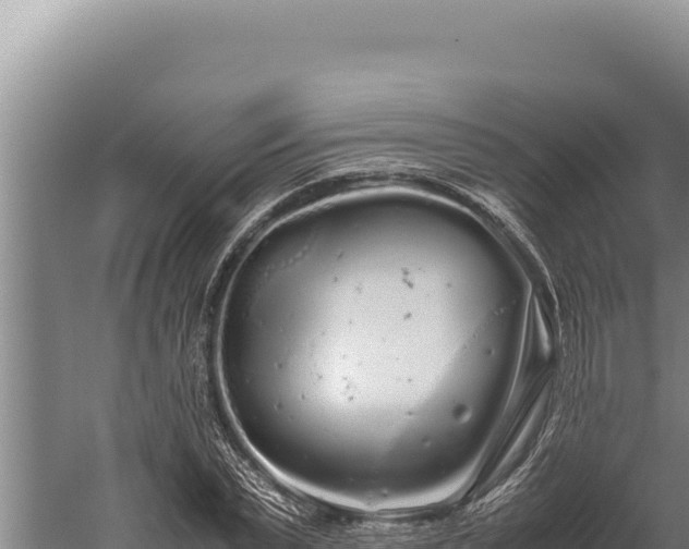 X0000059800783200510281637