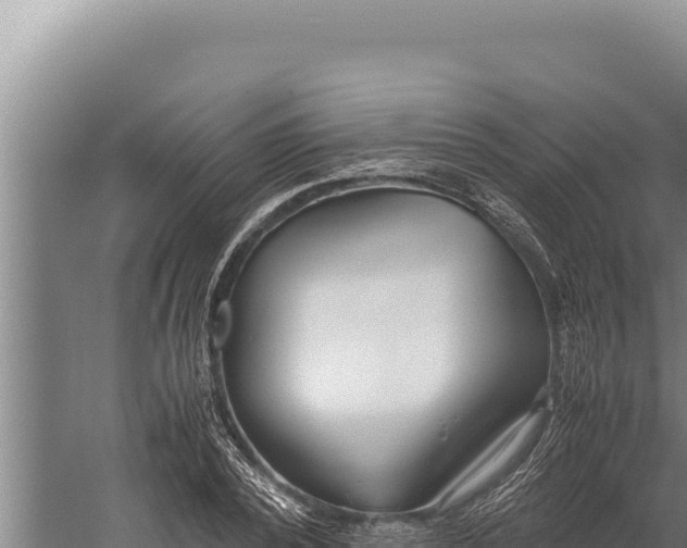 X0000059800784200510281637