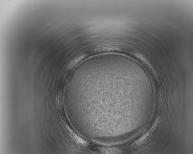 X0000059800785200510281637