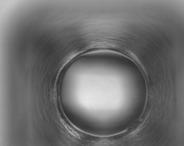 X0000059800787200510281637