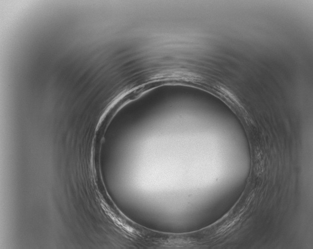 X0000059800788200510281637