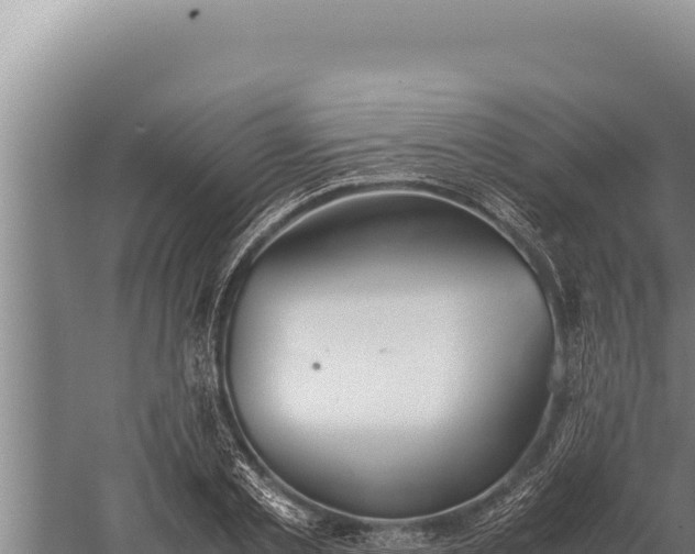 X0000059800789200510281637