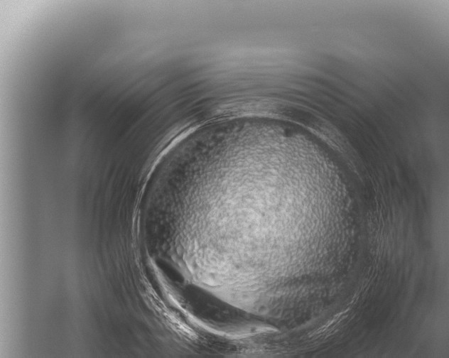 X0000059800790200510281637