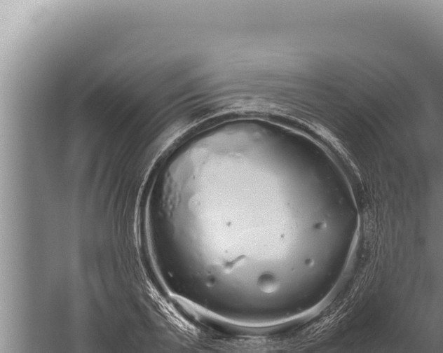 X0000059800791200510281637