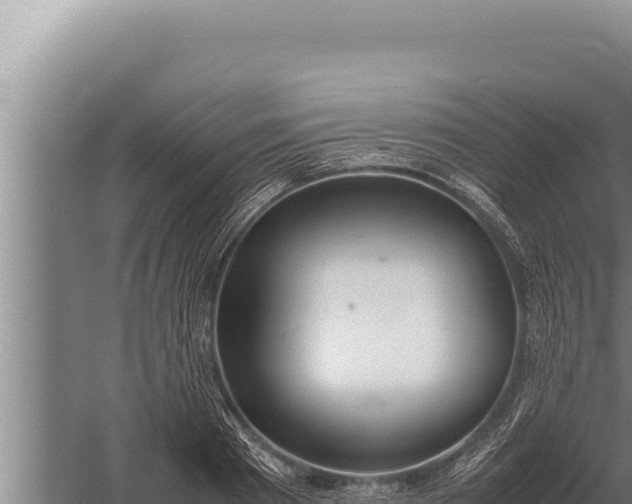 X0000059800793200510281637