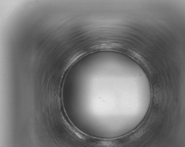 X0000059800794200510281637