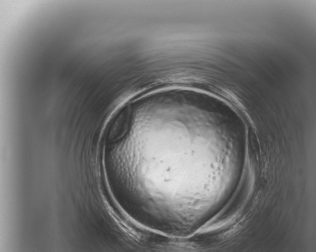 X0000059800795200510281637