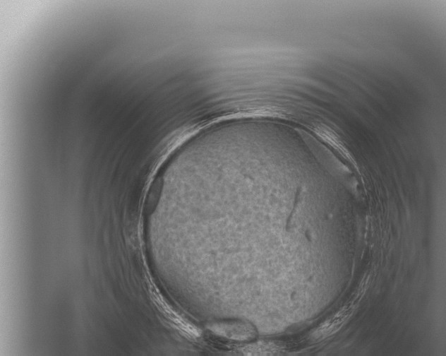 X0000059800797200510281637