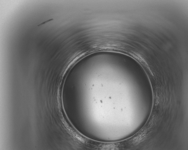 X0000059800798200510281637