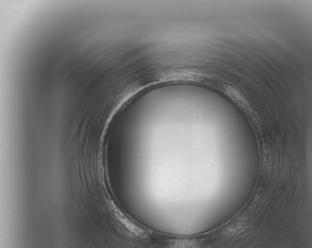 X0000059800800200510281637